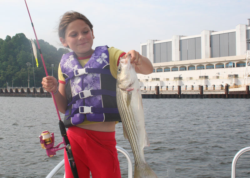 fishing at calvert cliffs power plant