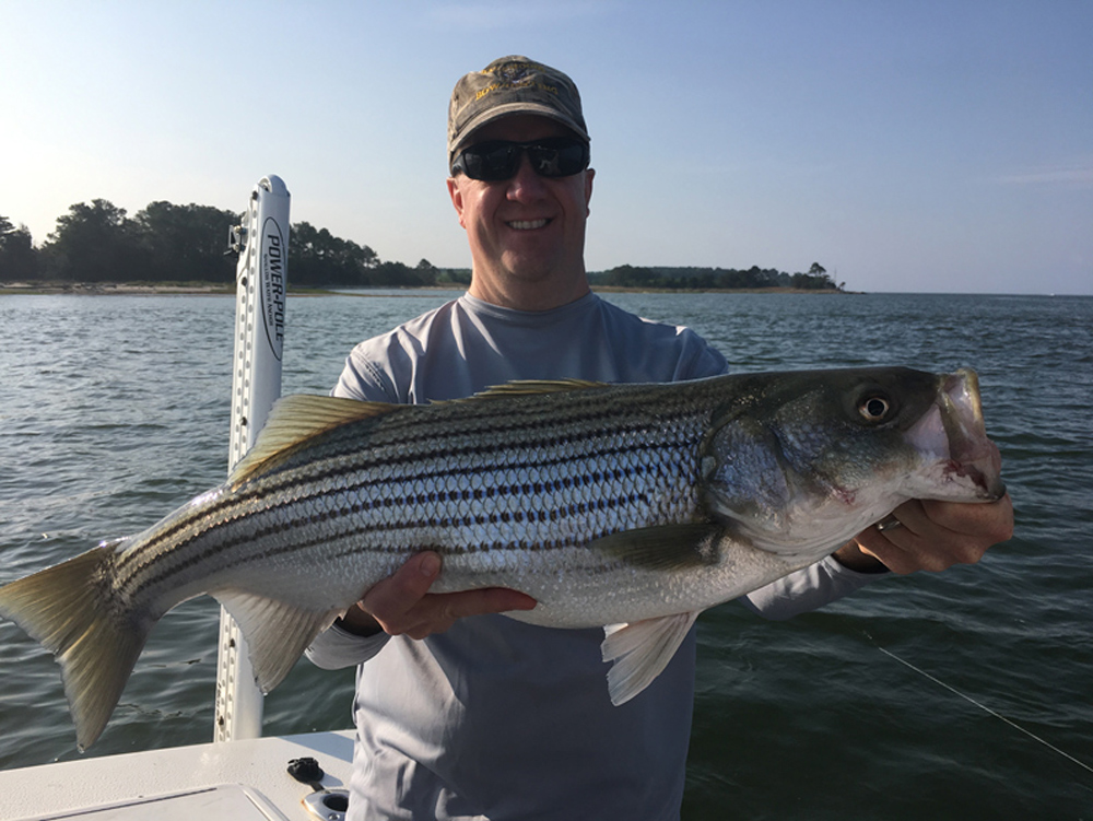 tangier sound striper fishing