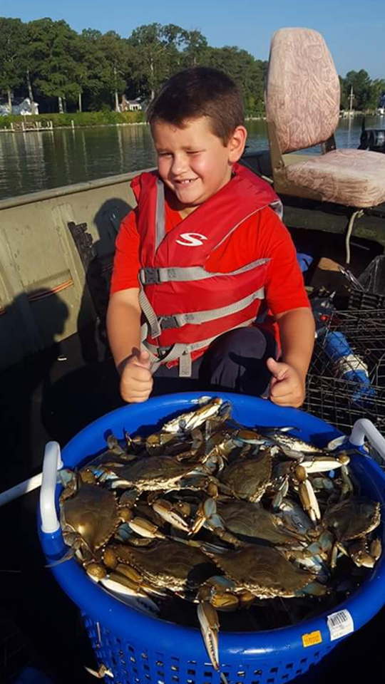 crabs from chesapeake bay