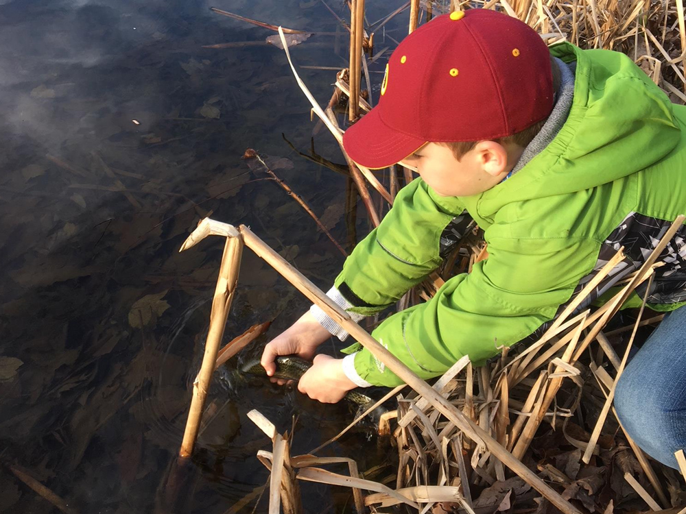 rainbow trout fishing