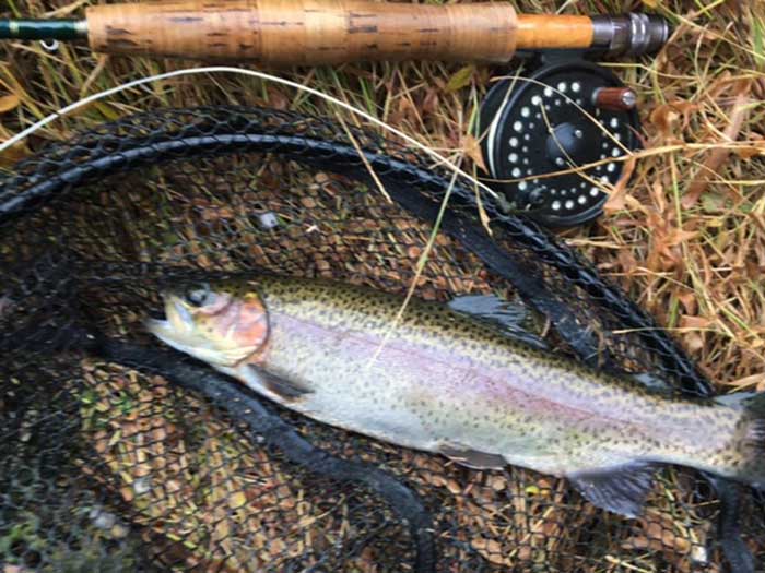 Fishing a super duper — Stocker Trout & Fly Fishing