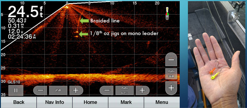 lures visible on forward facing sonar