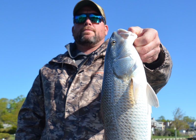 rudee inlet red drum