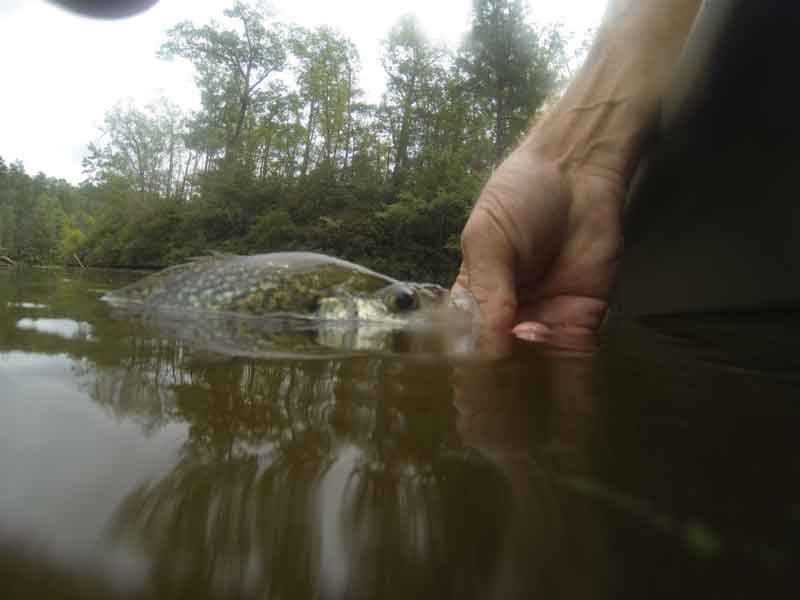 Critical Freshwater Fishing Tips