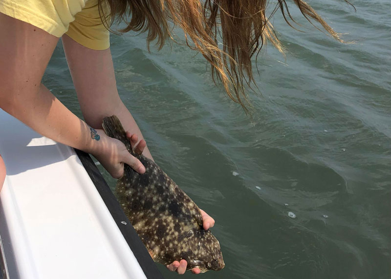 releasing a flounder