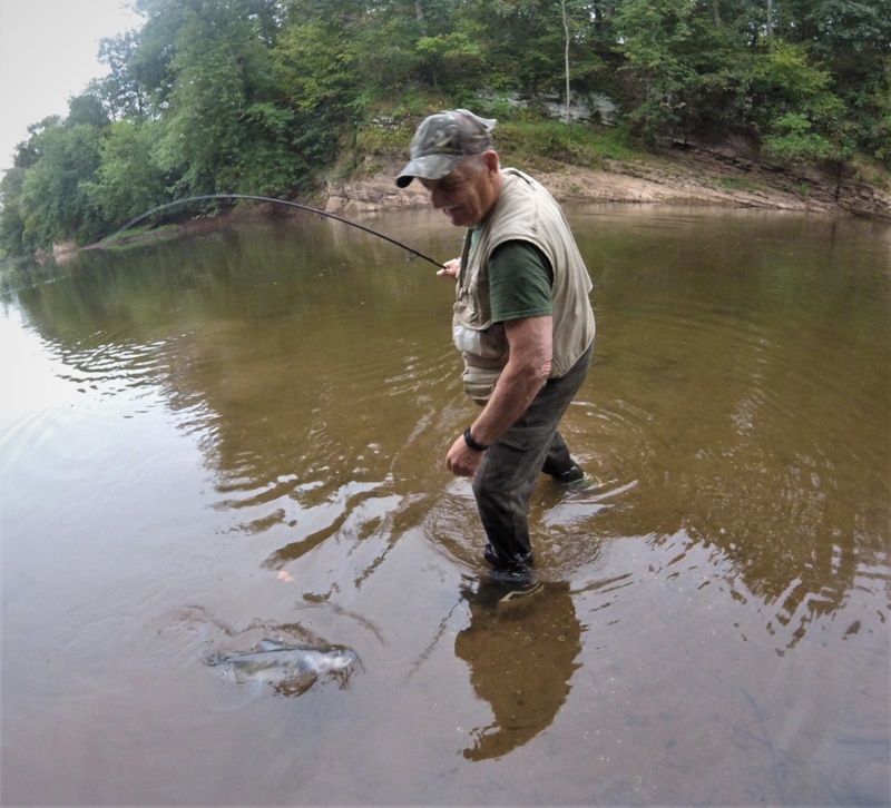 Bush hooking for huge river catfish