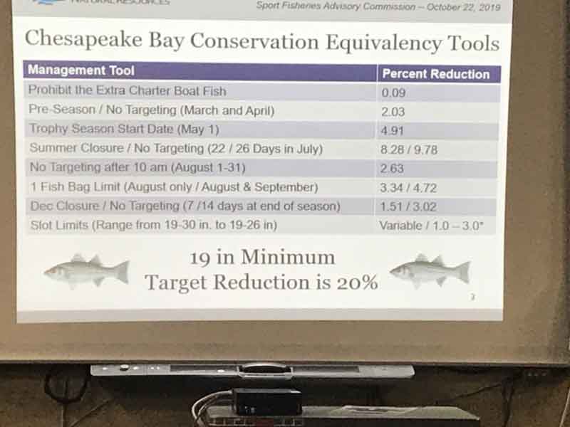 proposed striped bass regulation changes