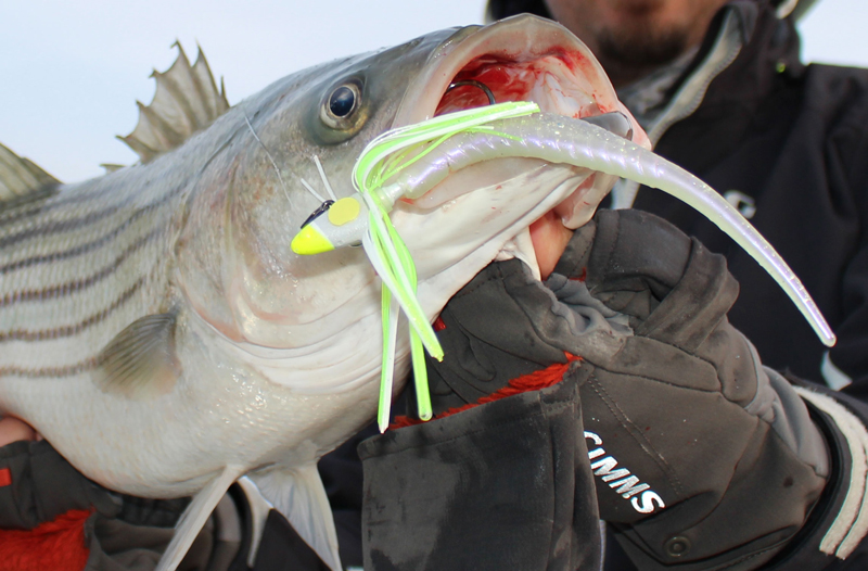 Point Lookout Late Fall Fishing