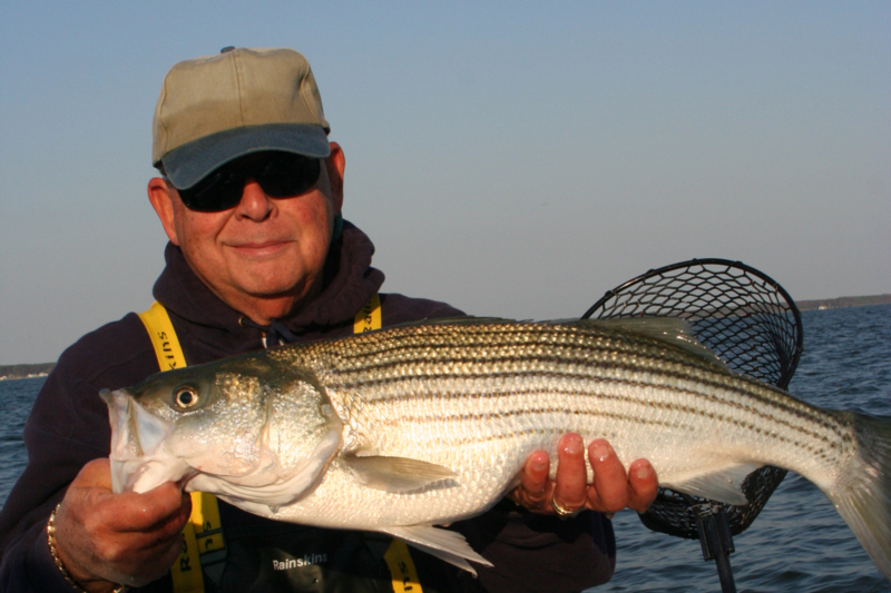 rockfish on the bay