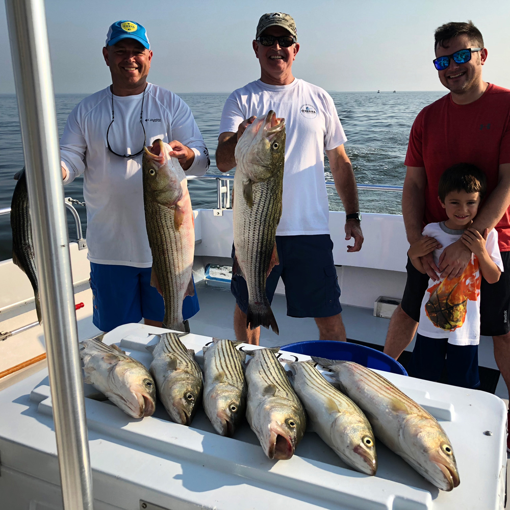 fishing for rockfish in chesapeake bay