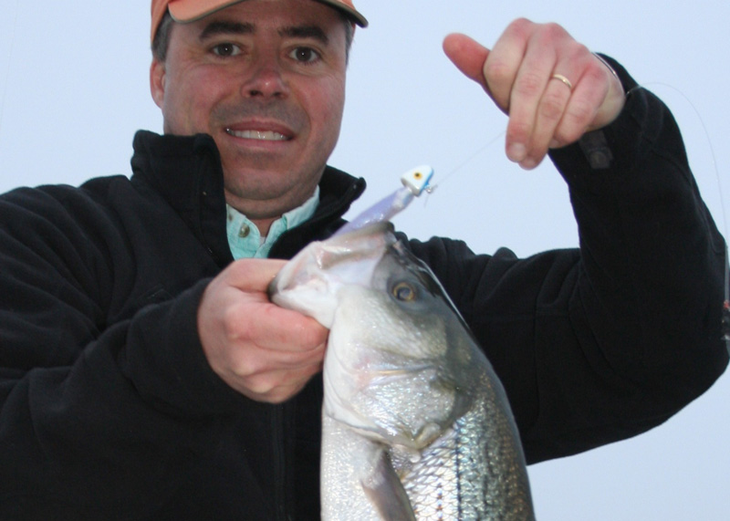 rockfish caught jigging