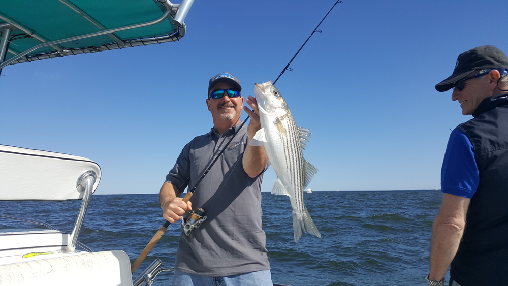 jigging rockfish chesapeake bay