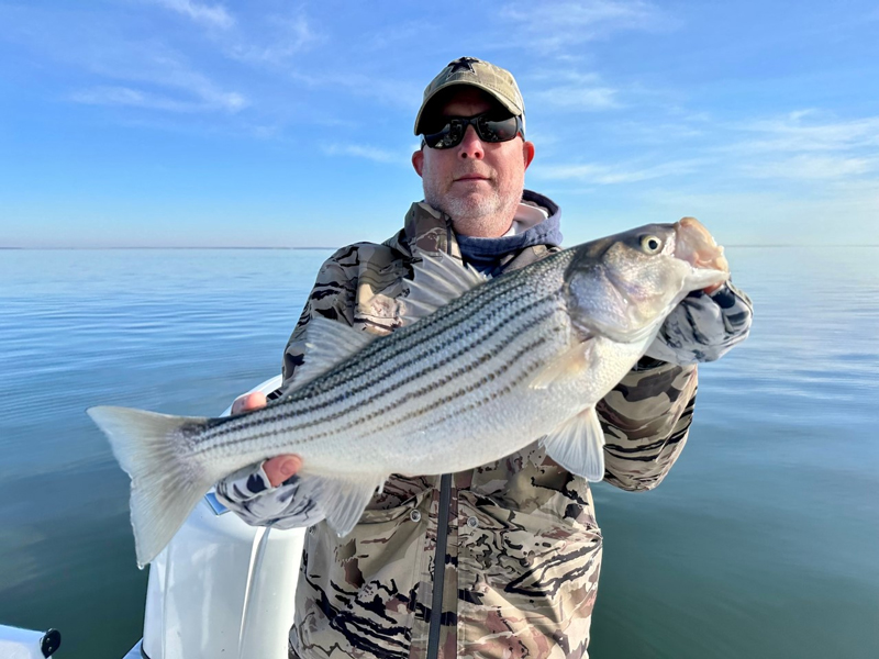 middle bay winter rockfish