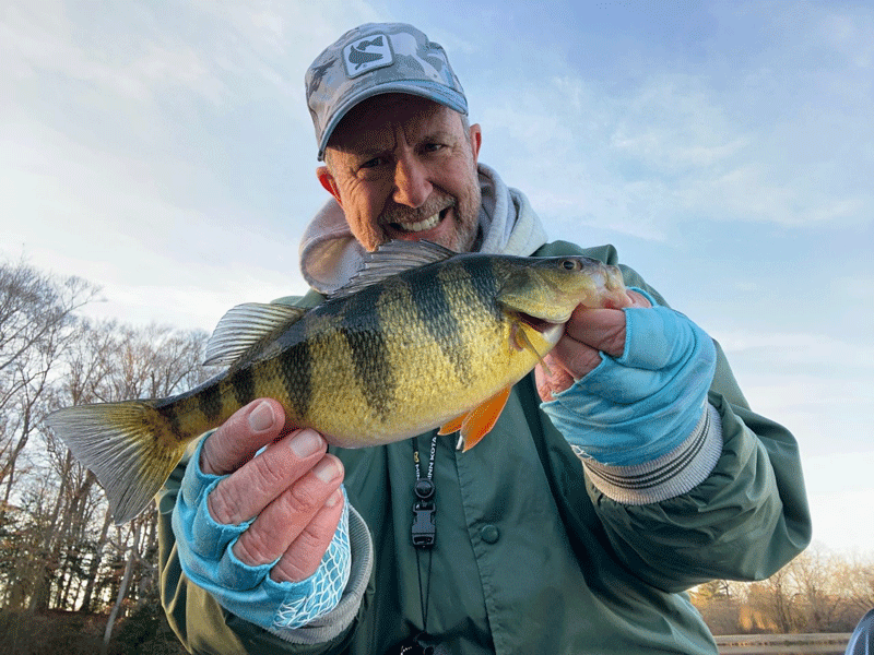 herb with a yellow perch