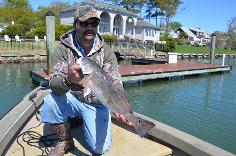 Virginia Beach Rudee Inlet Fishing Report: Your Complete Guide to an ...