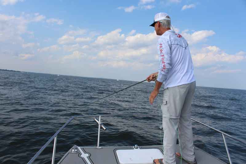 angler fly fishing in Chesapeake Bay