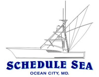 schedule sea ocean city fishing