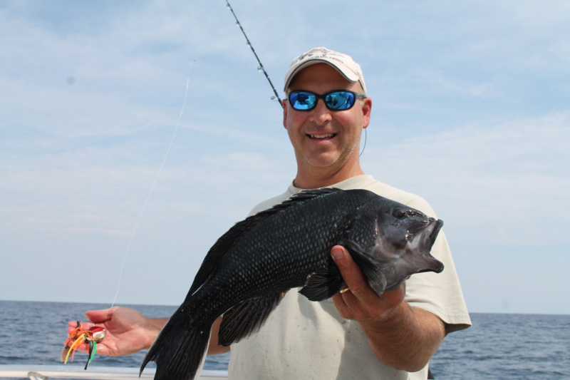 black sea bass