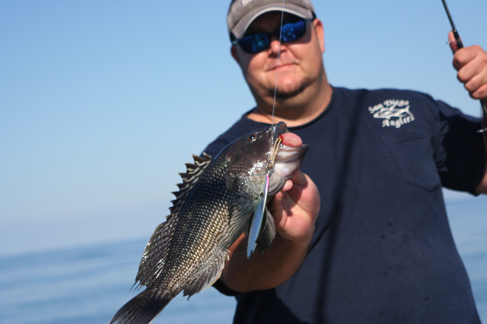 October Coastal Mid-Atlantic Fishing Report | FishTalk Magazine