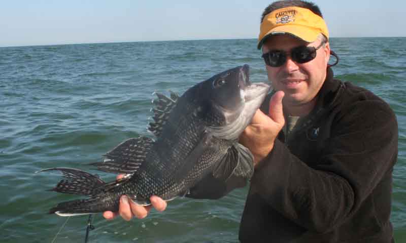 Get Ready for Black Sea Bass Fishing! – 5 Helpful Tips