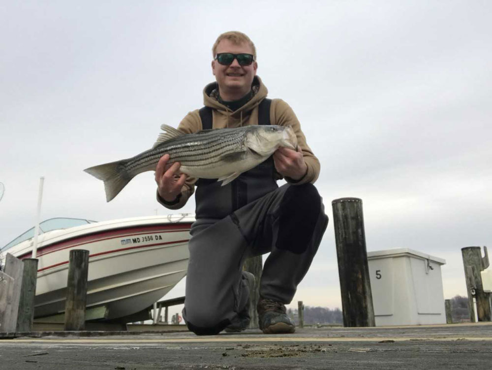 fishing for winter stripers