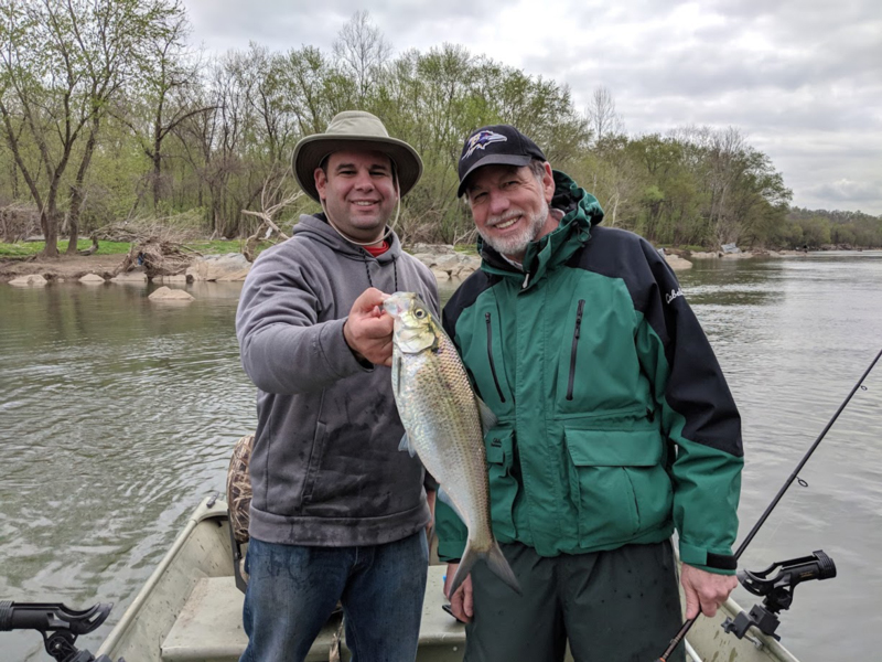 shad fishermen on the potomac river