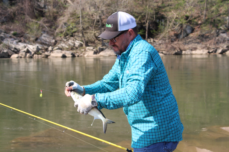 Spring Shad Fishing