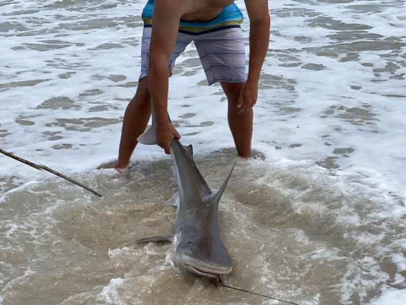 Texas Style!  Shark fishing, Saltwater fishing, Kayaking