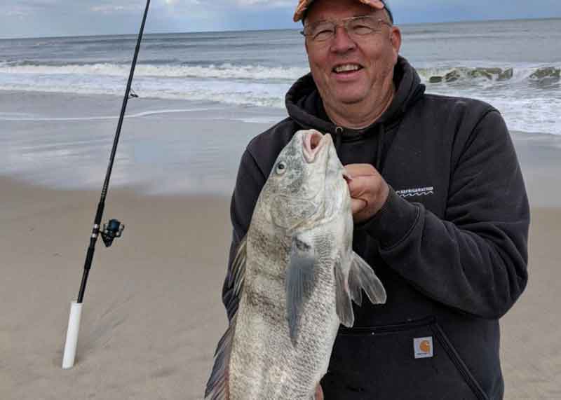 black drum surf fishing on a shimano 14000xtc