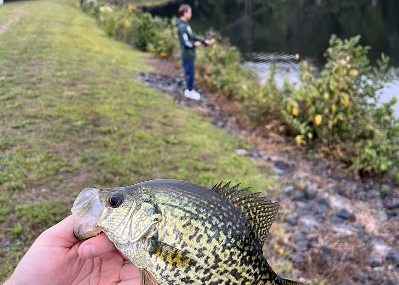 crappie fishing from the shoreline in spring