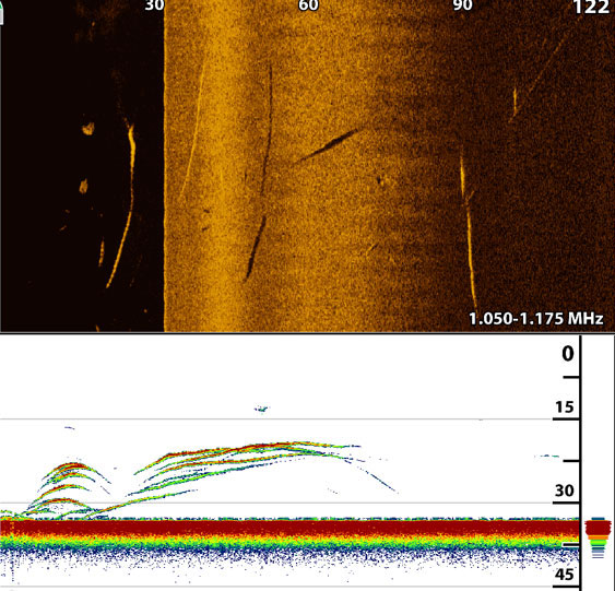 shadows on a sidescan fishfinder