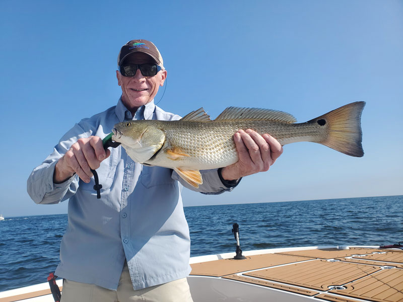 slot redfish in the middle Chesapeake bay