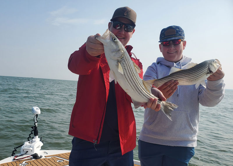 slot size chesapeake bay striped bass