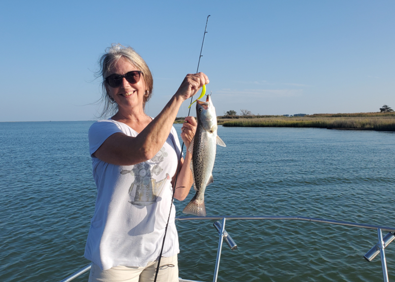 speckled trout at smith island