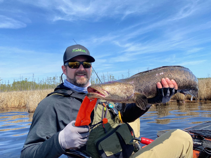 snakehead fishing