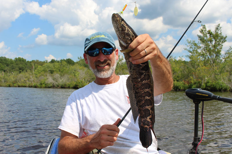 The BEST LURE for Early Season Snakehead; Spring Snakehead Fishing in  Maryland 