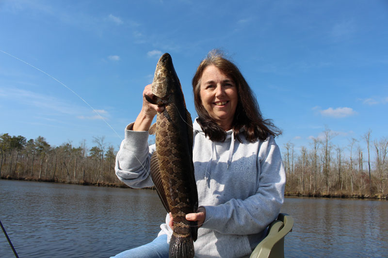 Fishing for Snakeheads for Beginners