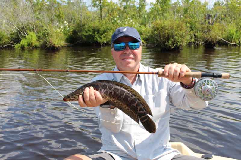 snakehead caught fly fishing