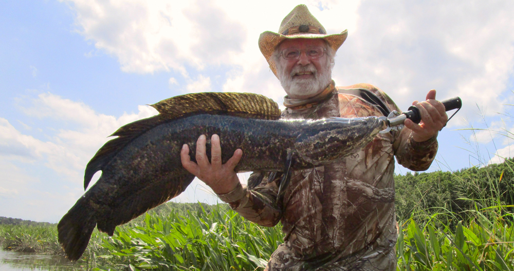fishing for snakeheads