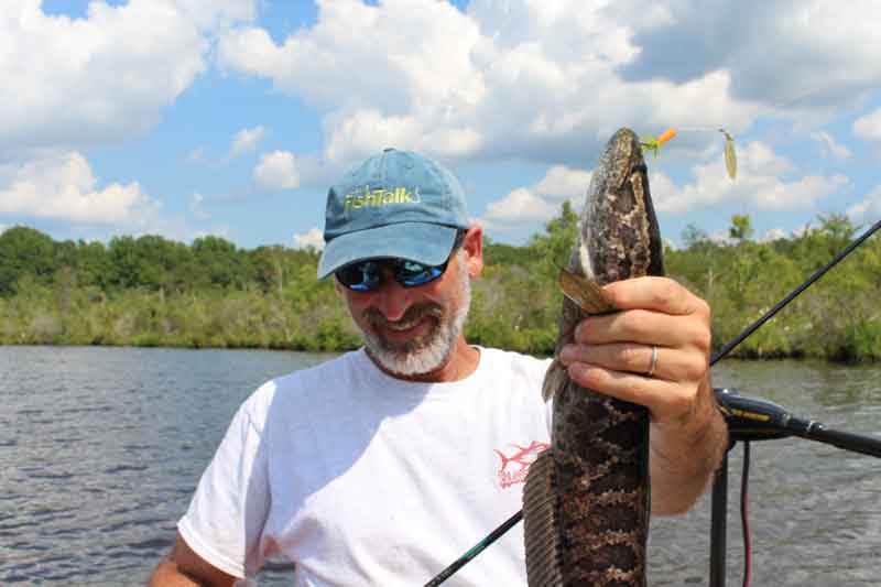 angler holds a snakehead fish