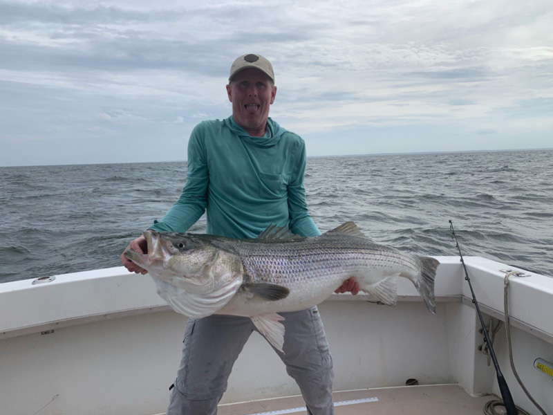 big striper from the tangier sound