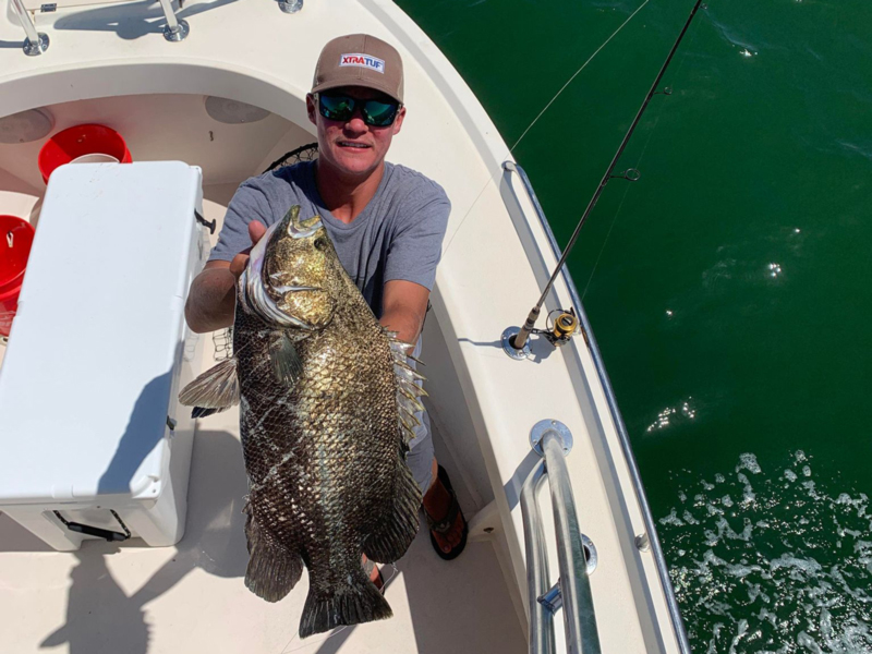 record tripletail