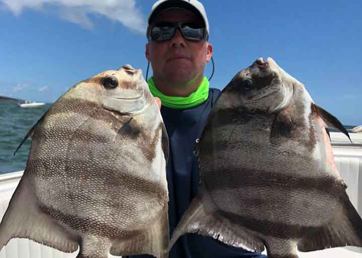 angler catches spadefish