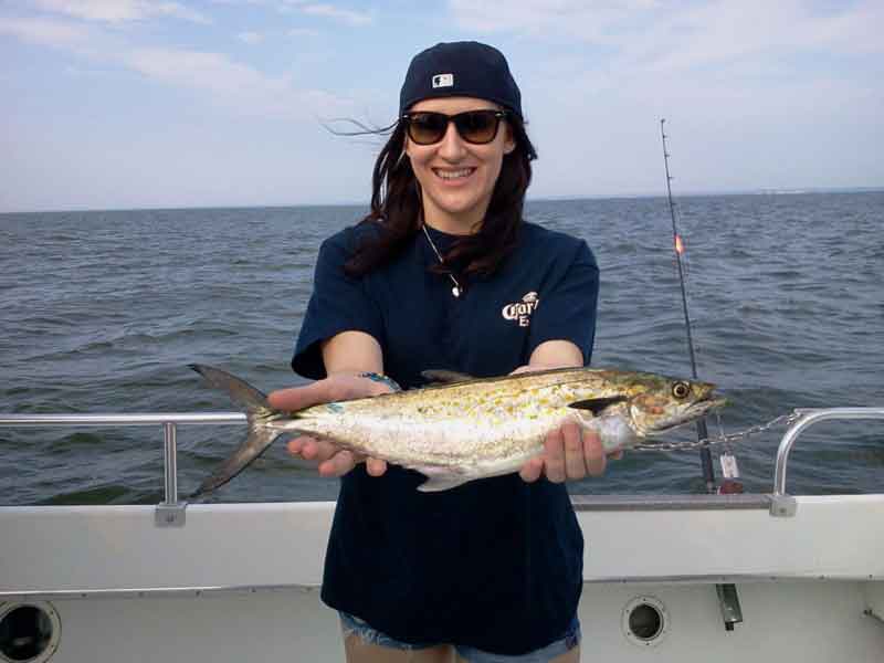 angler holds up spanish mackerel