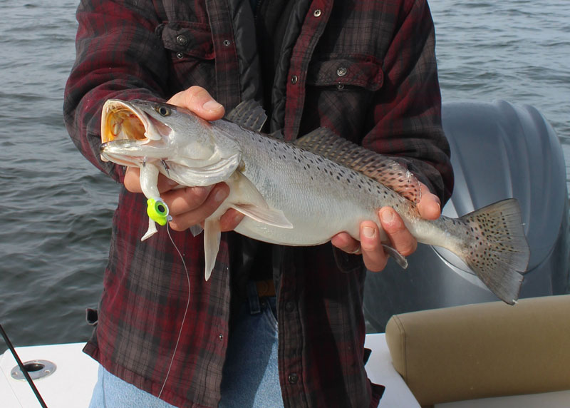 speckled sea trout fishing