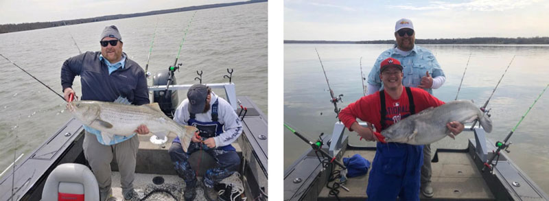 catfish fishing on the lower chesapeake tributaries
