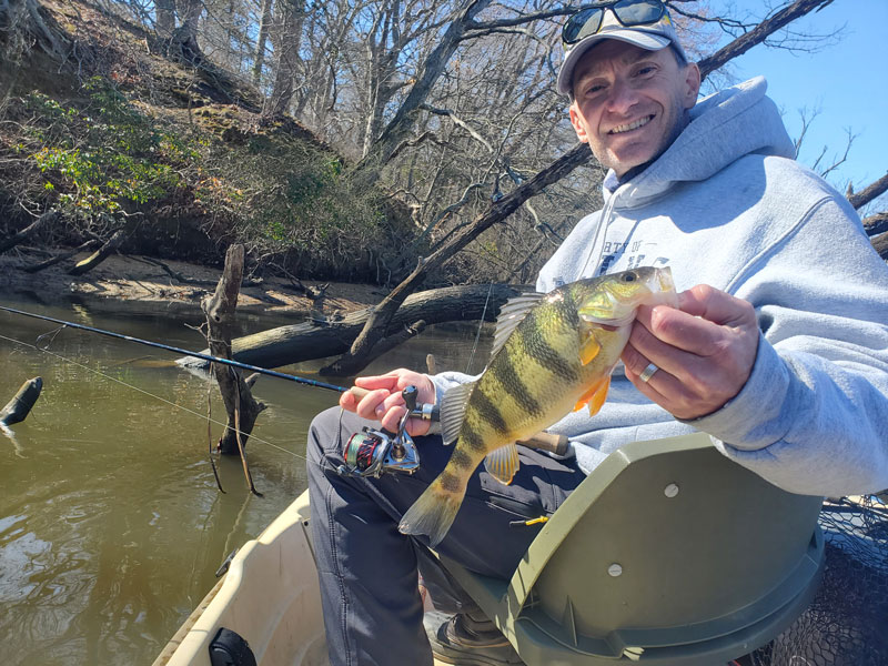 spring perch fishing