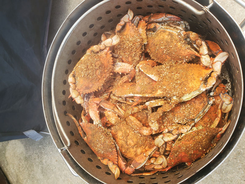 steamed crabs in a pot