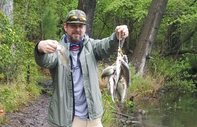 Caught Perch in Fish Stringer in Clear Water Floats Over the Rocks