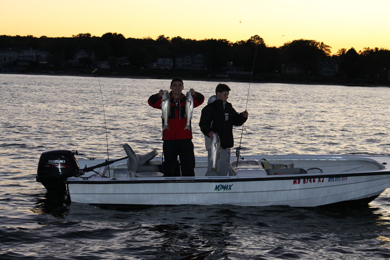 catching striped bass at dusk